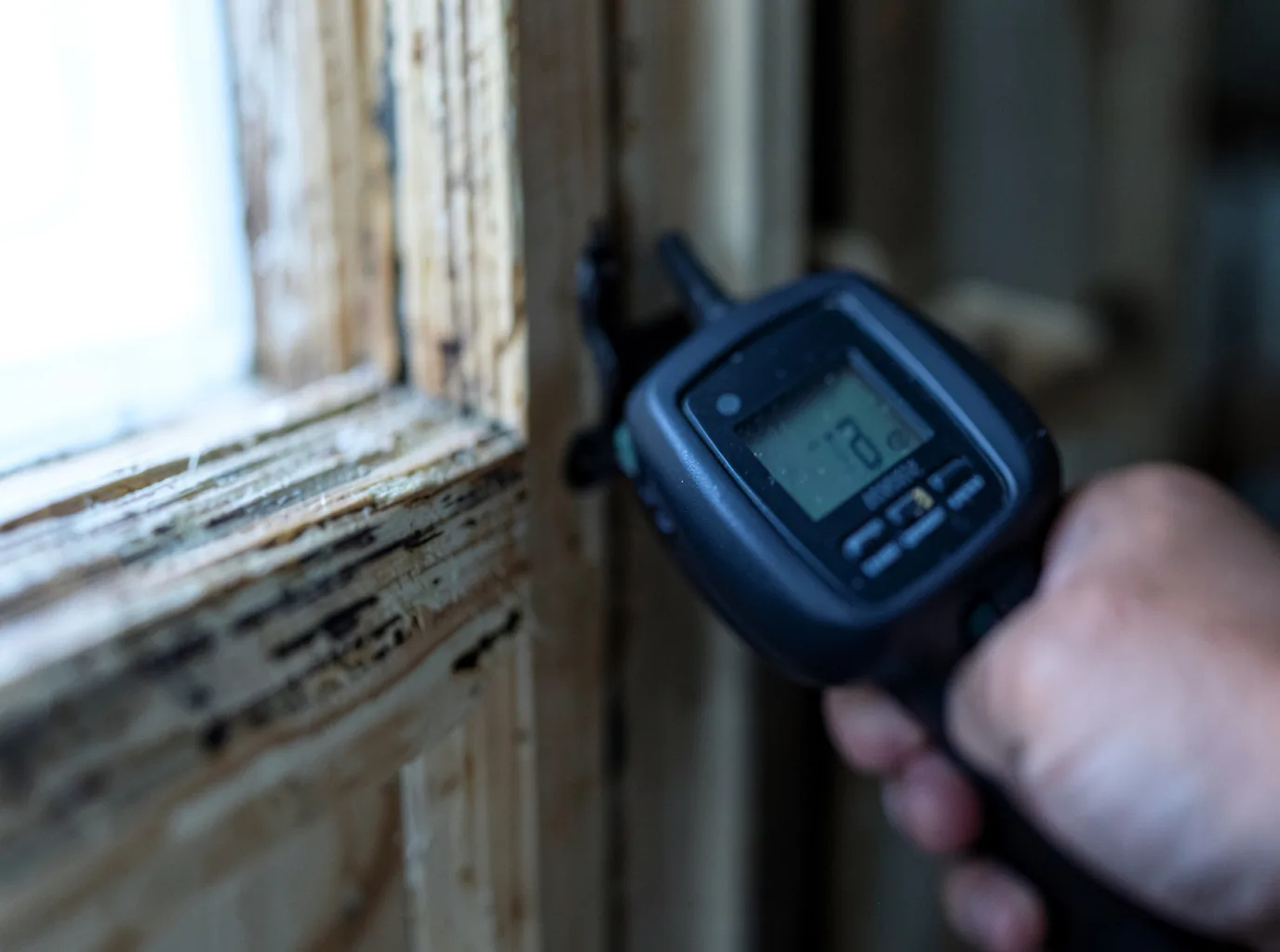 Moisture Inspection And Documentation in Kistler, WV